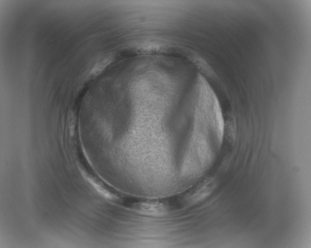 X0000082140458200702021613