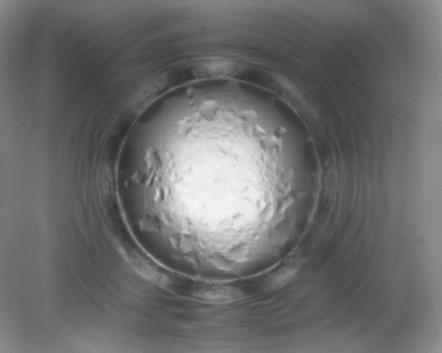 X0000082140459200702021613