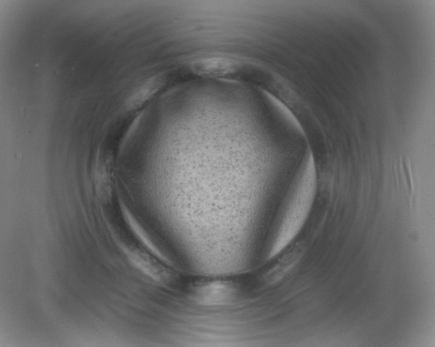 X0000082140460200702021613