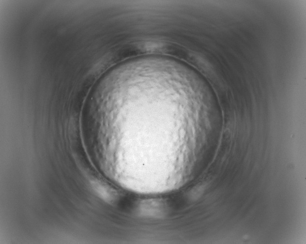 X0000082140461200702021613