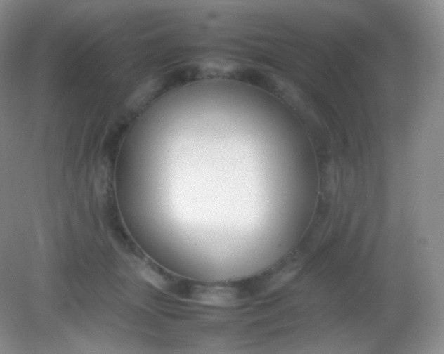 X0000082140463200702021614