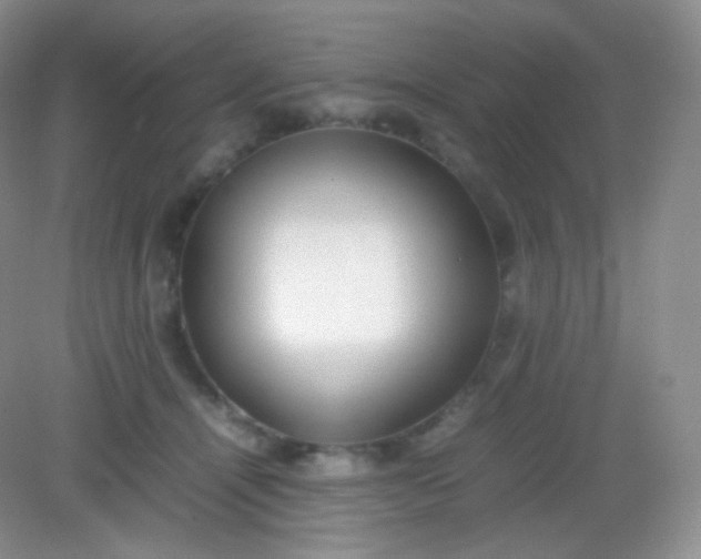X0000082140464200702021614