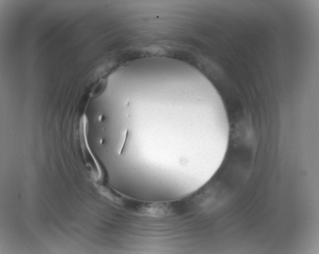 X0000082140466200702021614