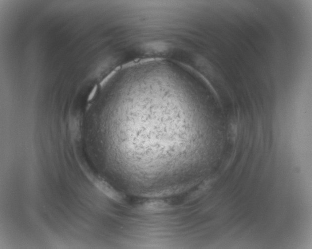 X0000082140468200702021614