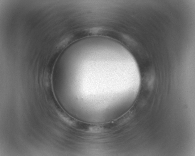 X0000082140470200702021614