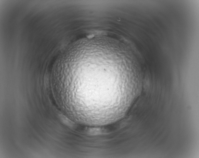 X0000082140473200702021614