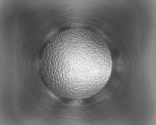 X0000082140474200702021614
