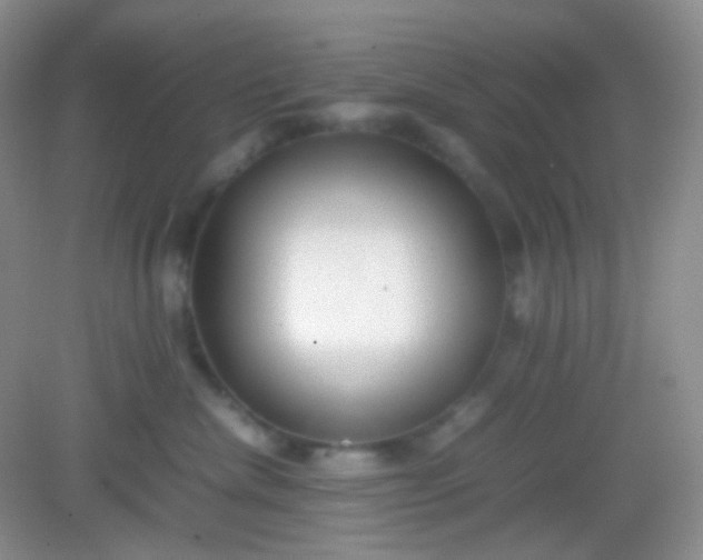 X0000082140476200702021614