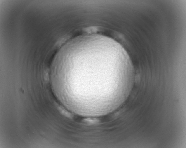 X0000082140477200702021614