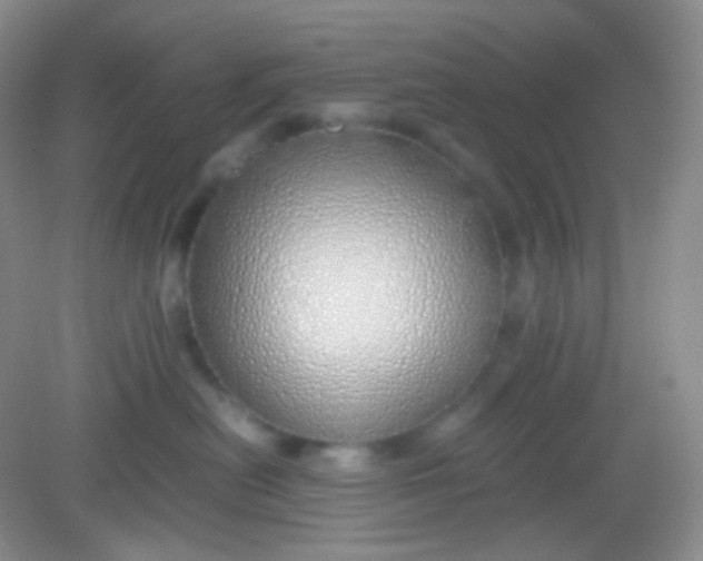 X0000082140478200702021614