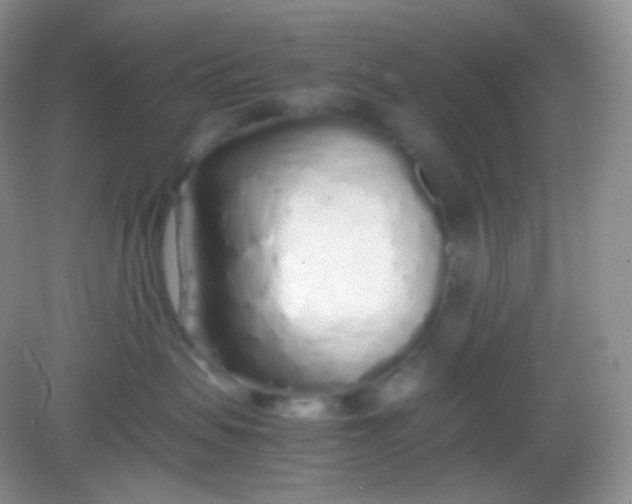 X0000082140479200702021614
