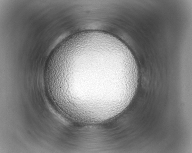 X0000082140482200702021613