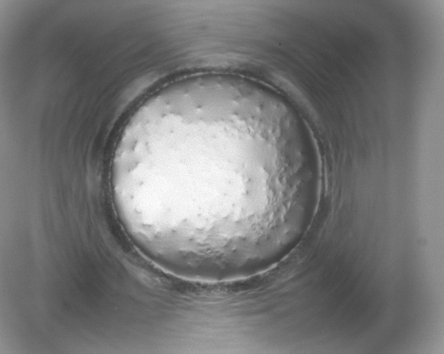 X0000082140483200702021613