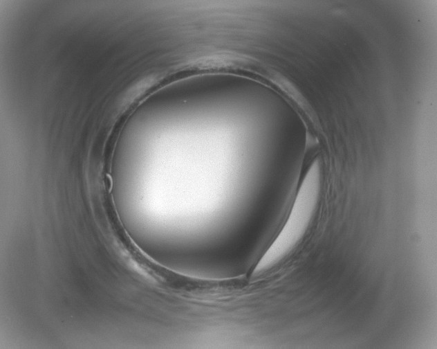 X0000082140485200702021613