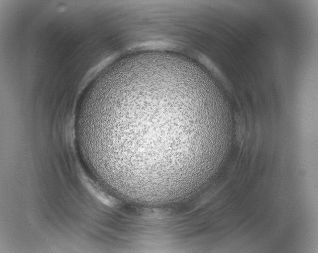 X0000082140486200702021613