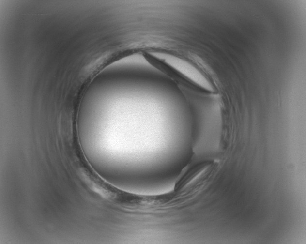 X0000082140493200702021613