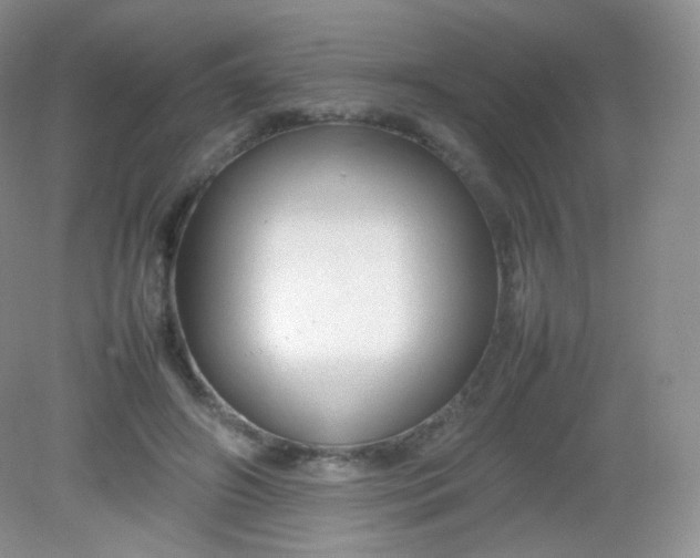 X0000082140498200702021613