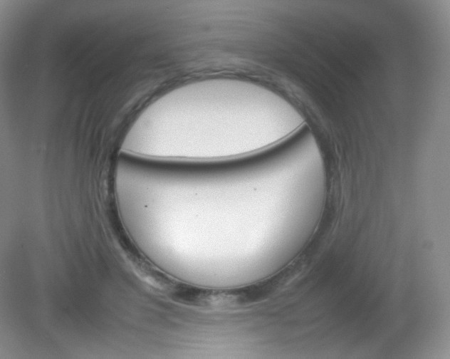 X0000082140501200702021613