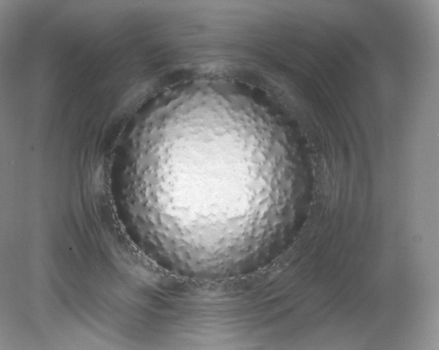 X0000082140502200702021613