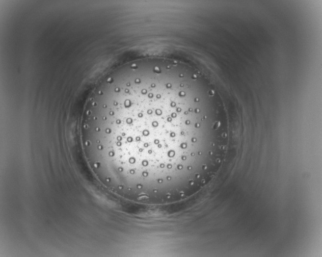 X0000082140503200702021613