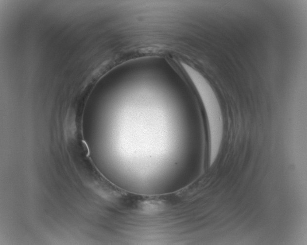 X0000082140508200702021613