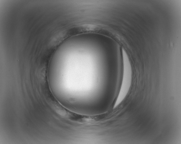 X0000082140509200702021613