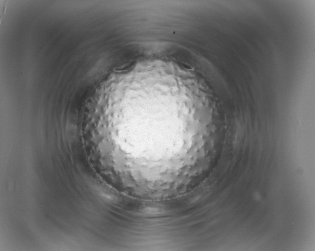 X0000082140510200702021612