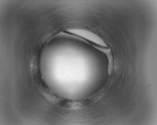 X0000082140512200702021612