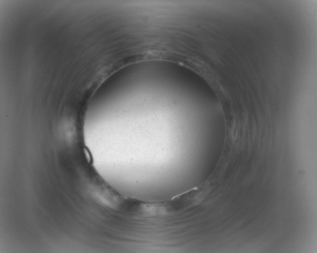 X0000082140520200702021612