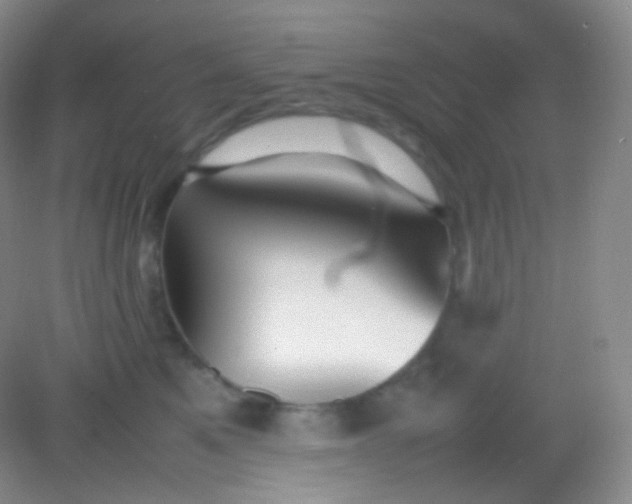 X0000082140521200702021612
