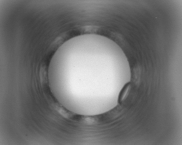 X0000082140522200702021612