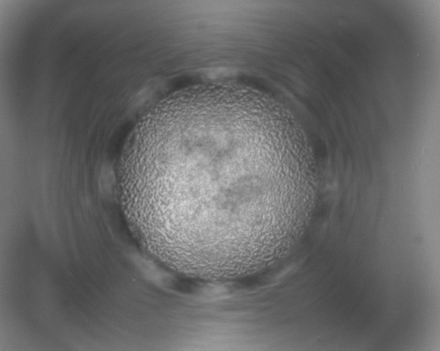 X0000082140523200702021612