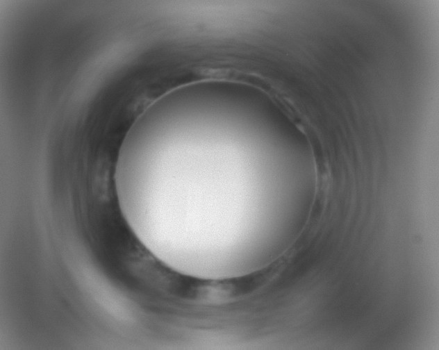 X0000082140525200702021612