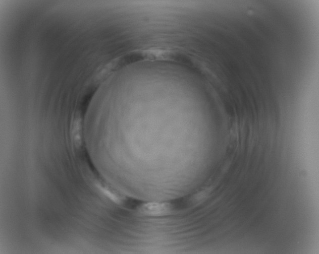 X0000082140526200702021612