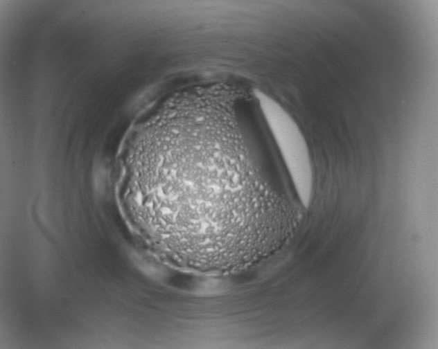 X0000082140527200702021612