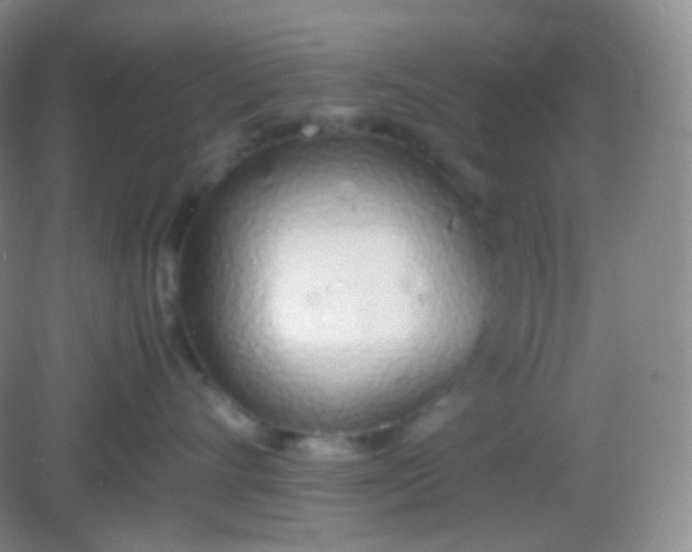 X0000082140528200702021612