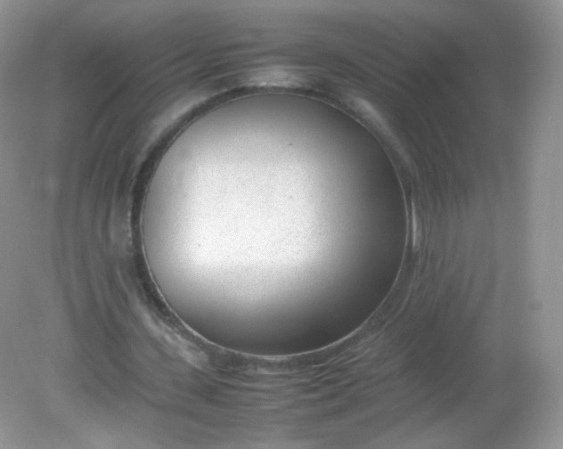 X0000082140531200702021611