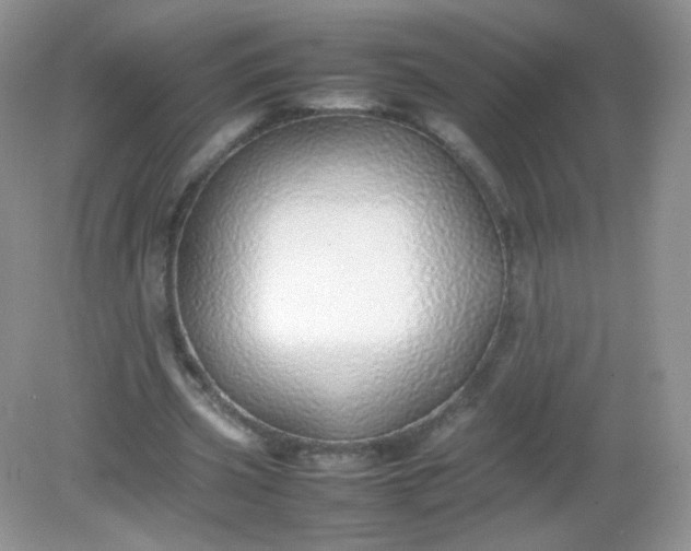 X0000082140533200702021611