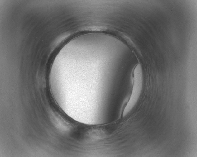 X0000082140536200702021612