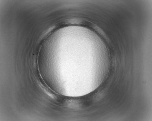 X0000082140537200702021612