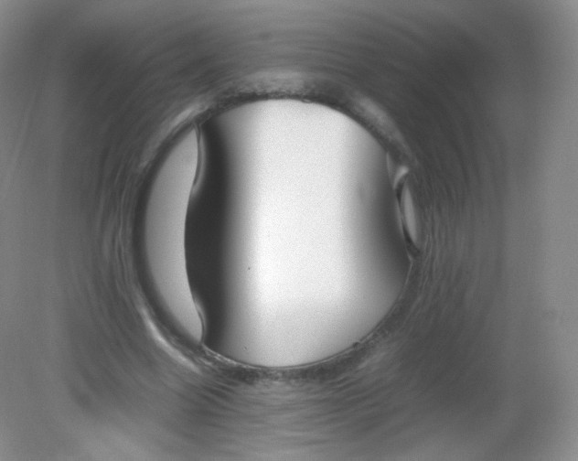 X0000082140538200702021612