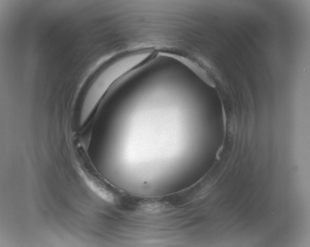 X0000082140540200702021612
