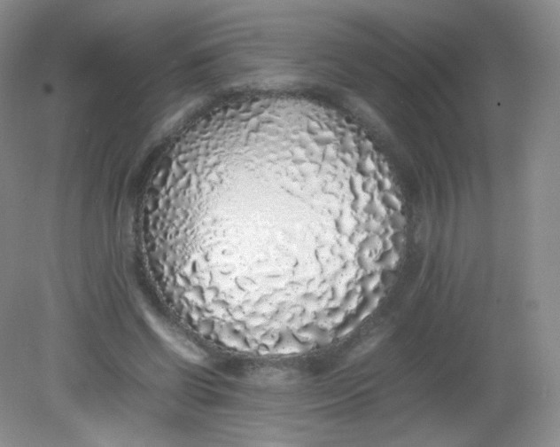 X0000082140542200702021612