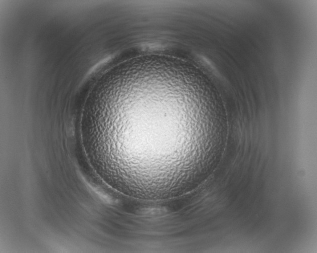 X0000082140543200702021612