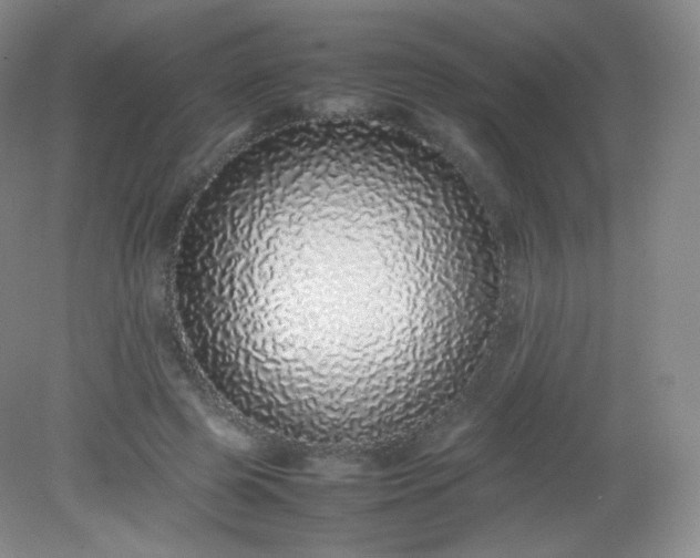 X0000082140545200702021612