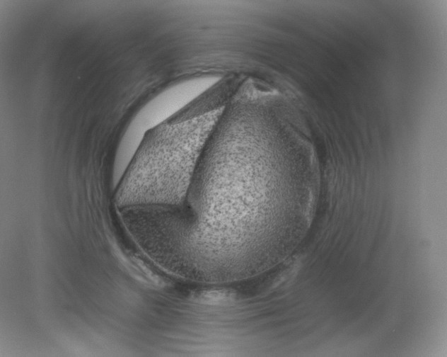 X0000082140546200702021612