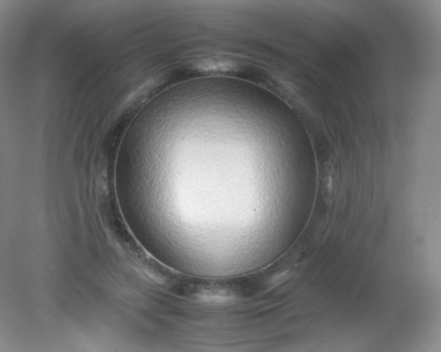 X0000082140547200702021612