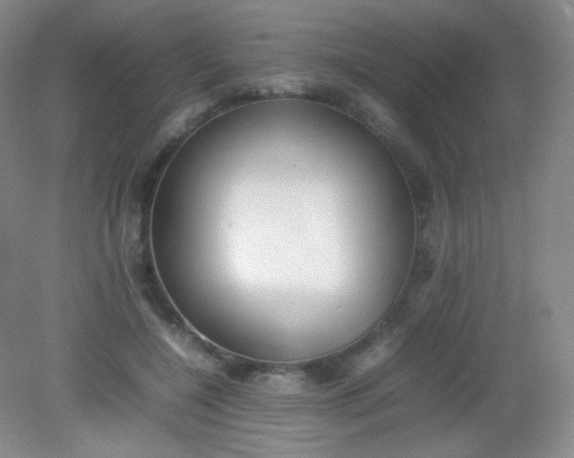 X0000082140548200702021612