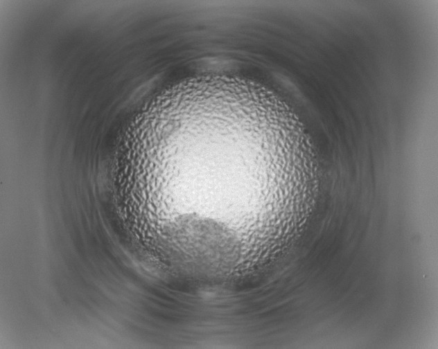 X0000082140549200702021612
