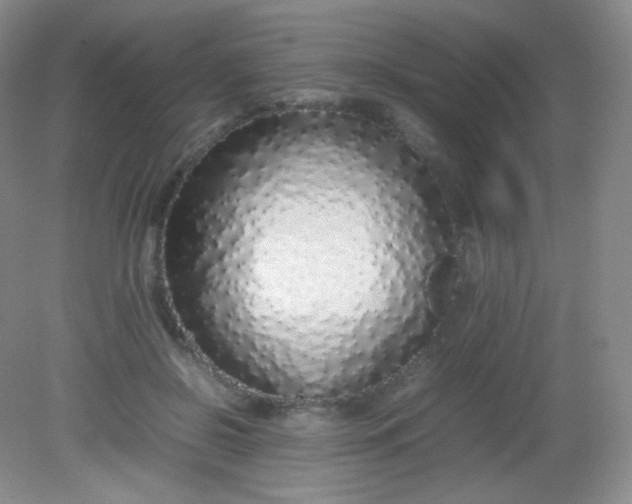 X0000082140550200702021612
